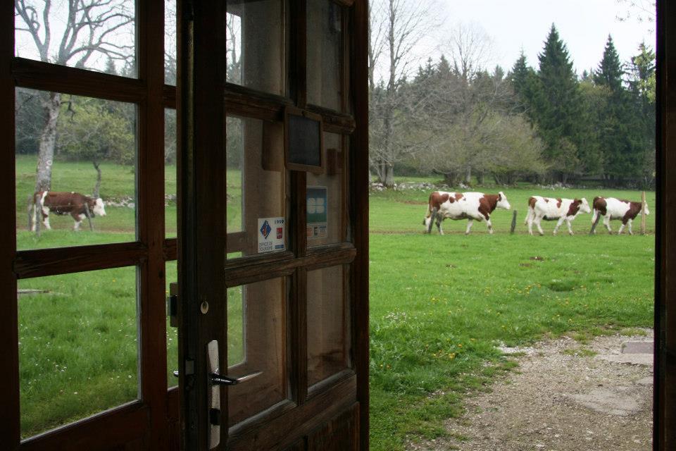 Auberge De La Perdrix Hauterive-la-Fresse Eksteriør bilde